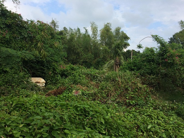 Hvad laver en bedemand? En dag i bedemandens liv