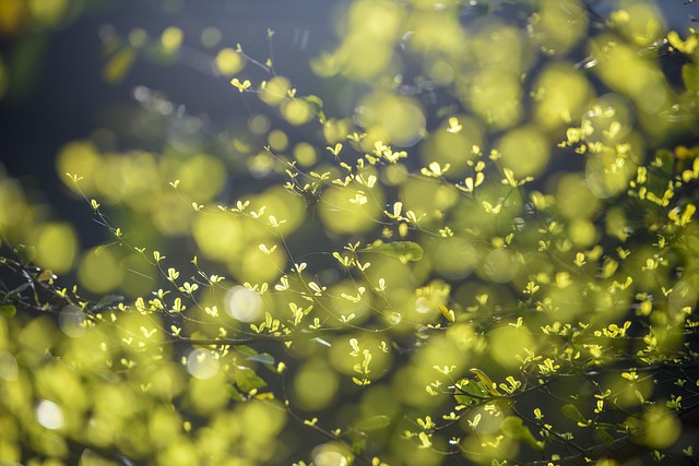 Miljøet og black friday – kan det forenes?